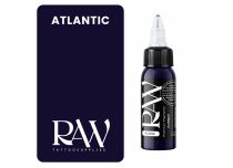 Tinta para tatuajes RAW Platinum, estéril, color : Atlantic