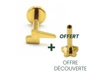 Labret Titanio PVD Oro Patrón interno estéril Zip | Itc