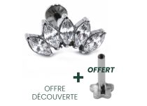 Labret Titane Interne Stérile motif Couronne de 5 Strass Blanc | Itc