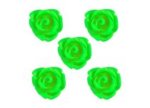 Set de 5 Rosas Acrílicas |  ITC