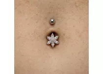 Flor plátano acero 6 pétalos multi strass | ITC