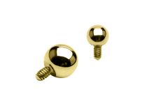 Tornillo interior de bolas Acero dorado |  ITC
