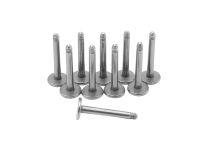 Lote de Labret de titanio sin bola |  ITC